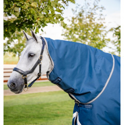 Coperta Horseware Ionic Therapy Turnout 100g Bleu imperial / argent /Marine Blu Coperta Horseware Ionic Therapy Turnout 100g Bleu imperial / argent /Marine Blu