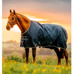 Coperta Horseware Amigo Ripstop 900D Turnout 200g Marine witney Blu marino
