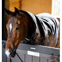 Coperta da scuderia Horseware Amigo Ripstop Insulator Plus 200g Nero / nero / argento Coperta da scuderia Horseware Amigo Ripstop Insulator Plus 200g Nero / nero / argento