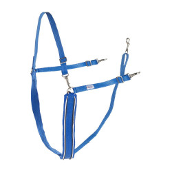Grande bricole a Y sintetica Finn-Tack con profilo Blu / bianco