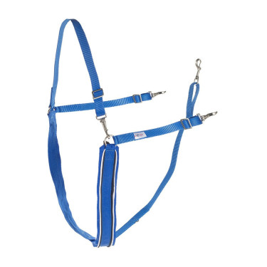 Grande bricole a Y sintetica Finn-Tack con profilo Blu / bianco