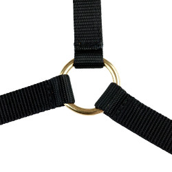 Capestro Yankee Finn-Tack Pro in nylon con capezzina aperta Nero