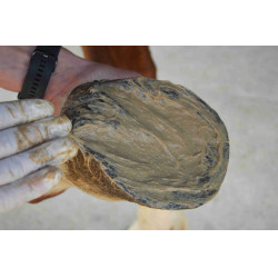 Magic Piedi Nutragile Magic Piedi Nutragile