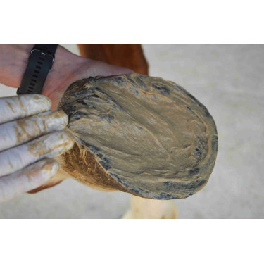 Magic Piedi Nutragile Magic Piedi Nutragile