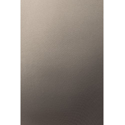 Leggings da equitazione B Vertigo Viktoria da donna senza cuciture con grip integrale Basilico caldo Rosa