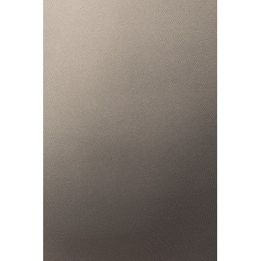 Leggings da equitazione B Vertigo Viktoria da donna senza cuciture con grip integrale Basilico caldo Rosa