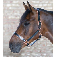 Capezzina in cuoio Rosa Waldhausen X-Line Nero Capezzina in cuoio Rosa Waldhausen X-Line Nero