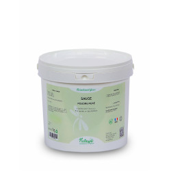 Salvia Nutragile