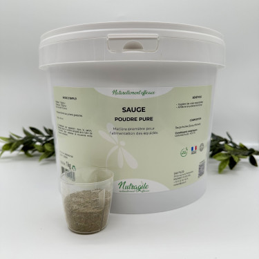 Salvia Nutragile Salvia Nutragile