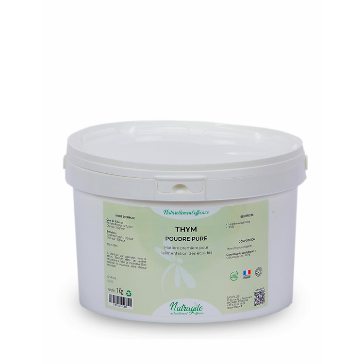 Timo Nutragile