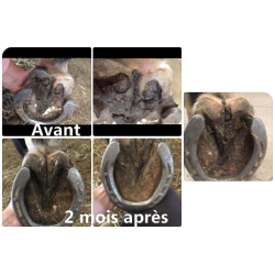 Gel trattante per marciume grave dei fettoni Ekin Gel trattante per marciume grave dei fettoni Ekin