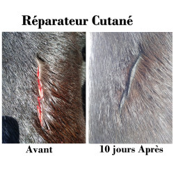Spray riparatore cutaneo Ekin Spray riparatore cutaneo Ekin