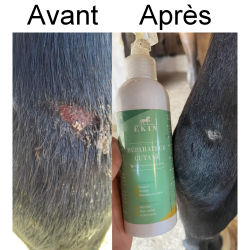 Spray riparatore cutaneo Ekin Spray riparatore cutaneo Ekin