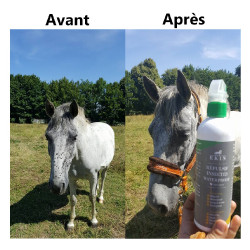 Spray Repellente per insetti Ekin Spray Repellente per insetti Ekin