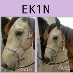 Spray Repellente per insetti Ekin Spray Repellente per insetti Ekin