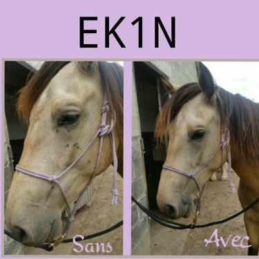 Spray Repellente per insetti Ekin Spray Repellente per insetti Ekin