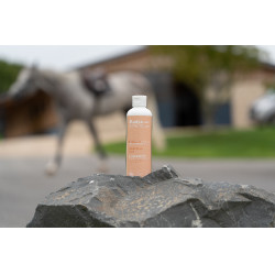 Gel allo zinco delicato Alodis Care