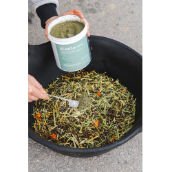 Integratore alimentare Alodis Care Horse Complexe Integratore alimentare Alodis Care Horse Complexe