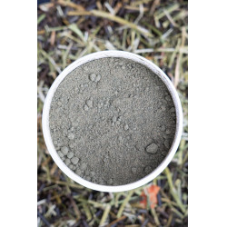 Integratore alimentare Alodis Care Horse Complexe Integratore alimentare Alodis Care Horse Complexe