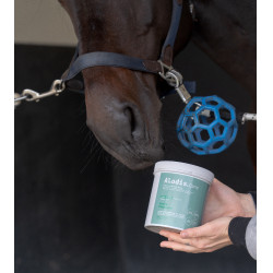 Integratore alimentare Alodis Care Horse Complexe Integratore alimentare Alodis Care Horse Complexe
