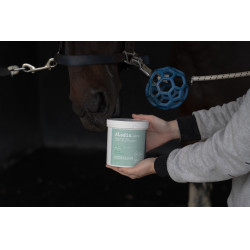 Integratore alimentare Alodis Care Horse Complexe Integratore alimentare Alodis Care Horse Complexe