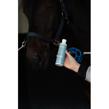 Integratore alimentare Alodis Care Boost Flex Integratore alimentare Alodis Care Boost Flex