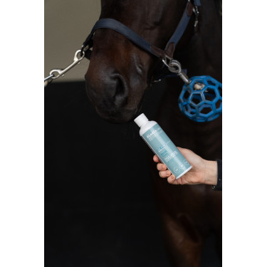 Integratore alimentare Alodis Care Boost Flex Integratore alimentare Alodis Care Boost Flex