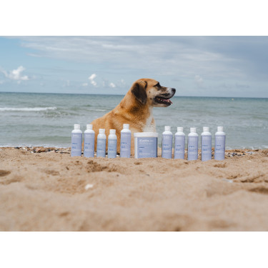 Argilla Alodis Care Cani Clay per cane Argilla Alodis Care Cani Clay per cane