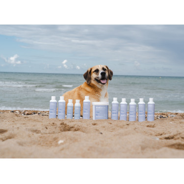 Argilla Alodis Care Cani Clay per cane Argilla Alodis Care Cani Clay per cane