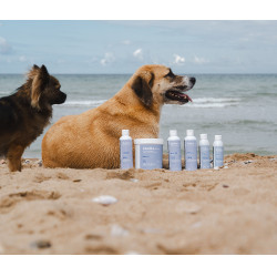 Argilla Alodis Care Cani Clay per cane