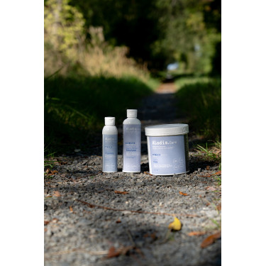 Argilla Alodis Care Cani Clay per cane Argilla Alodis Care Cani Clay per cane