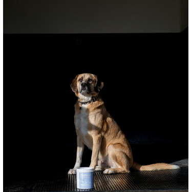 Argilla Alodis Care Cani Clay per cane Argilla Alodis Care Cani Clay per cane