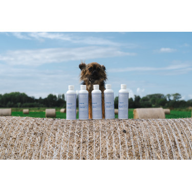 Balsamo Alodis Care Cani Stress per cane Balsamo Alodis Care Cani Stress per cane