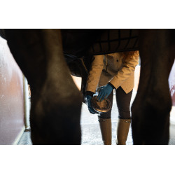 Argilla Alodis Care Hoof Clay Argilla Alodis Care Hoof Clay