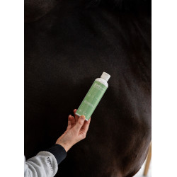 Gel Alodis Care Gel Anti Shock Gel Alodis Care Gel Anti Shock