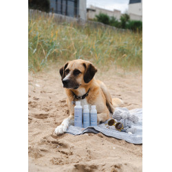 Gel Alodis Care Cani Riparazione