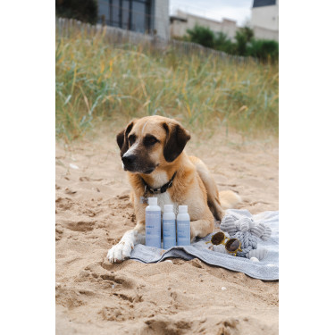 Gel Alodis Care Cani Riparazione Gel Alodis Care Cani Riparazione