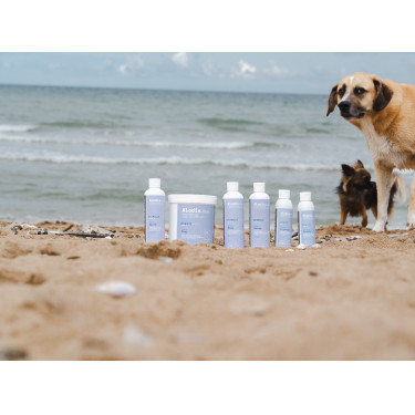 Olio Alodis Care Cani Recup Olio Alodis Care Cani Recup