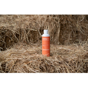 Olio Alodis Care Work Recup Olio Alodis Care Work Recup
