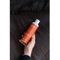 Olio Alodis Care Work Recup