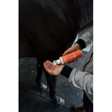 Olio Alodis Care Work Recup Olio Alodis Care Work Recup