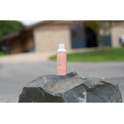 Olio da massaggio Alodis Care Digest Recup Olio da massaggio Alodis Care Digest Recup