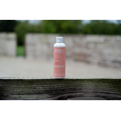 Olio da massaggio Alodis Care Digest Recup Olio da massaggio Alodis Care Digest Recup