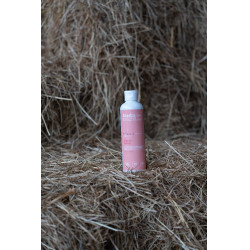 Olio da massaggio Alodis Care Digest Recup Olio da massaggio Alodis Care Digest Recup