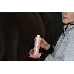 Olio da massaggio Alodis Care Digest Recup Olio da massaggio Alodis Care Digest Recup