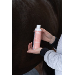 Olio da massaggio Alodis Care Digest Recup Olio da massaggio Alodis Care Digest Recup