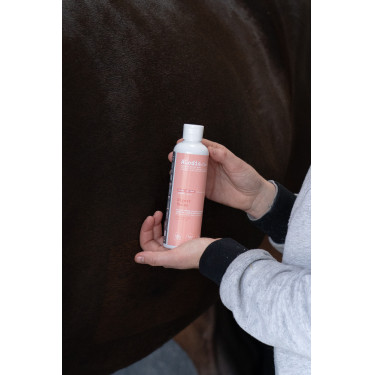 Olio da massaggio Alodis Care Digest Recup Olio da massaggio Alodis Care Digest Recup