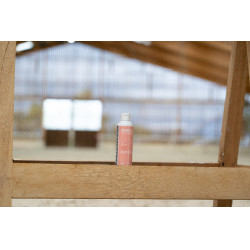 Olio da massaggio Alodis Care Digest Recup Olio da massaggio Alodis Care Digest Recup