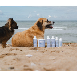 Shampoo Alodis Care Cani Soap per cani