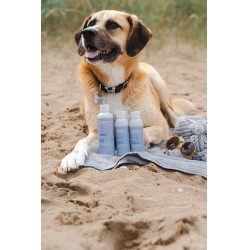 Shampoo Alodis Care Cani Soap per cani